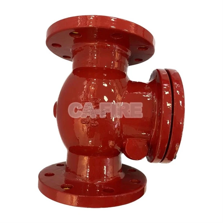 Swing check valve (3)